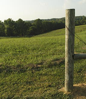 kentucky country scene